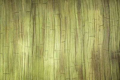 Textured Wall Finishes