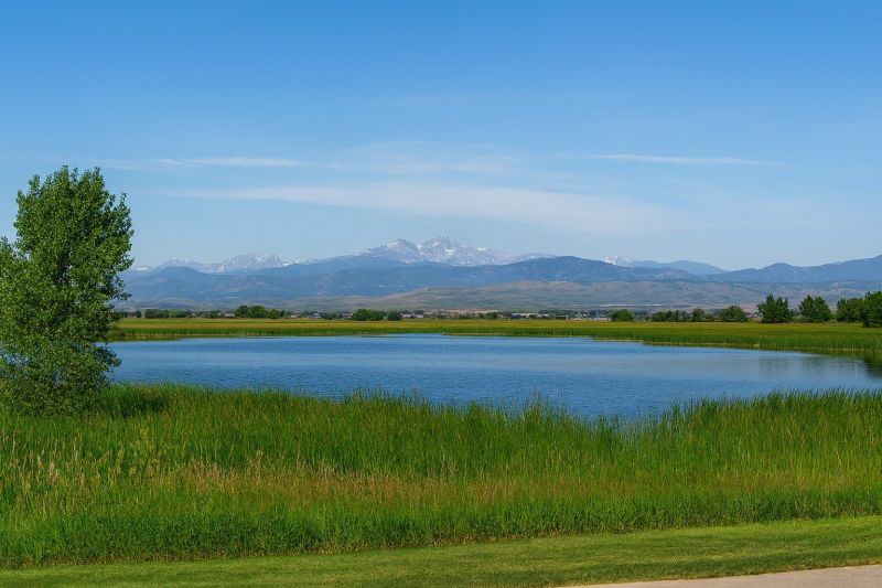 Classic Landscape Painting